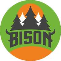 Bison_logo_1_small