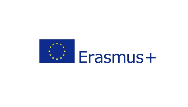 Erasmus_mini_21_original