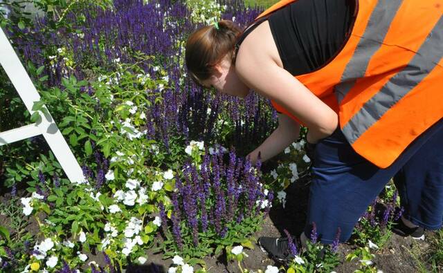 Dsc-0015_max_original